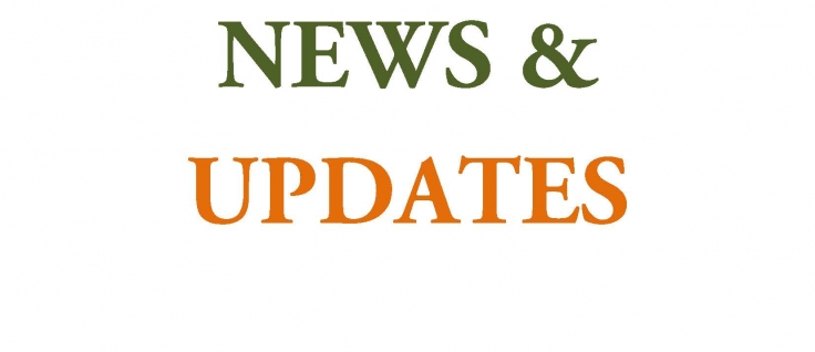 news-detail